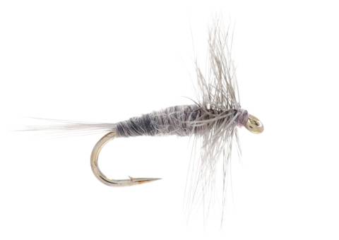 Midge - Blue Dun